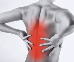 Free Wellness Lecture: Eliminating back pain without drugs or surgery